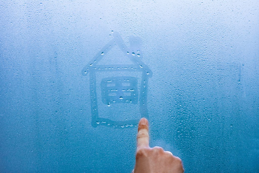 Monitorare l'umidità ideale in Casa per un Ambiente Salutare